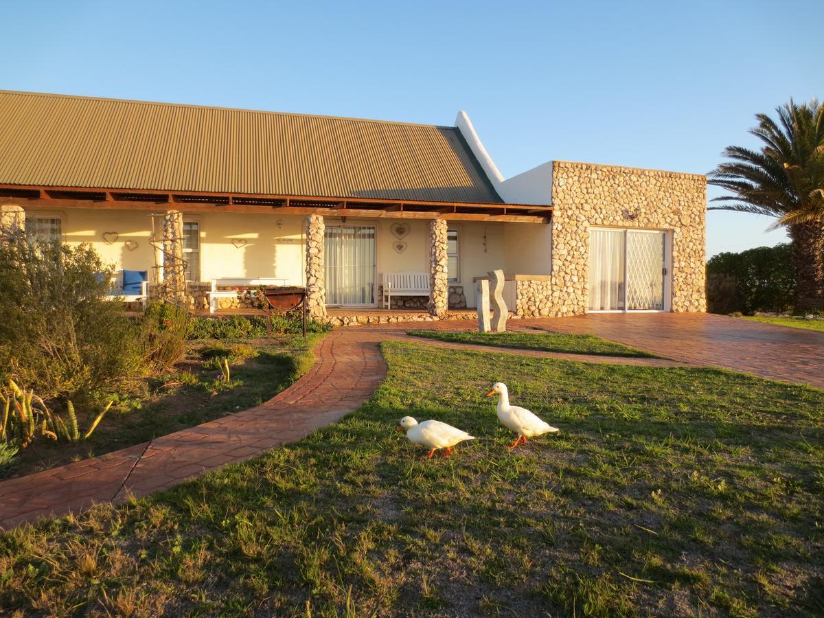 ランゲバーン マサダ ゲスト ハウス Bed & Breakfast エクステリア 写真